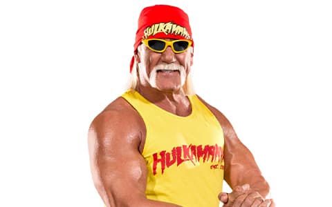 胡克·霍根（Hulk Hogan）