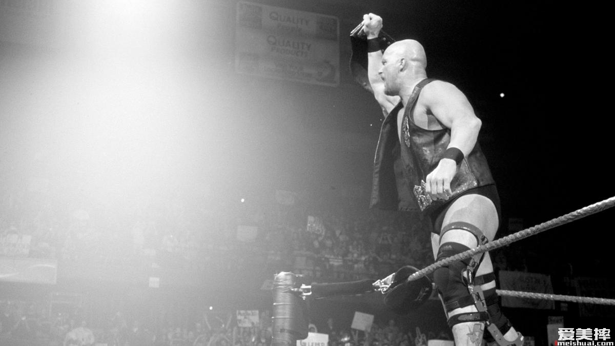 WWE响尾蛇冷石·史蒂夫·奥斯汀