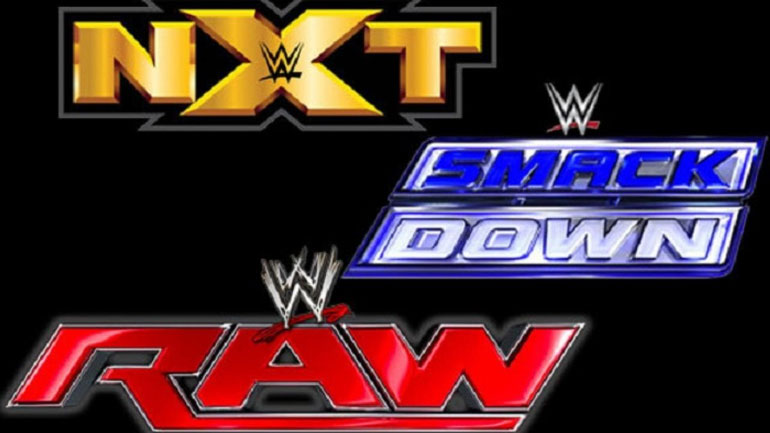 预测一下WWE红蓝品牌被闲置的明星哪些会转会黄色品牌？
