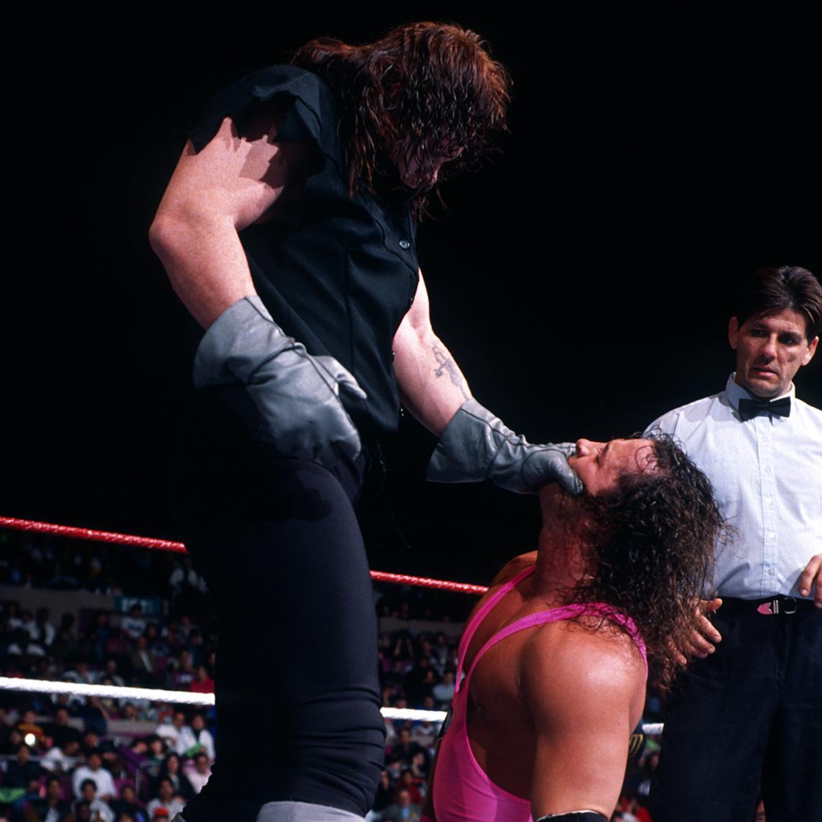 庆祝送葬者WWE生涯29年