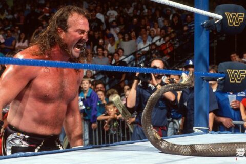 WWE名人堂成员“蛇王”杰克·罗伯茨回应和AEW续约的问题