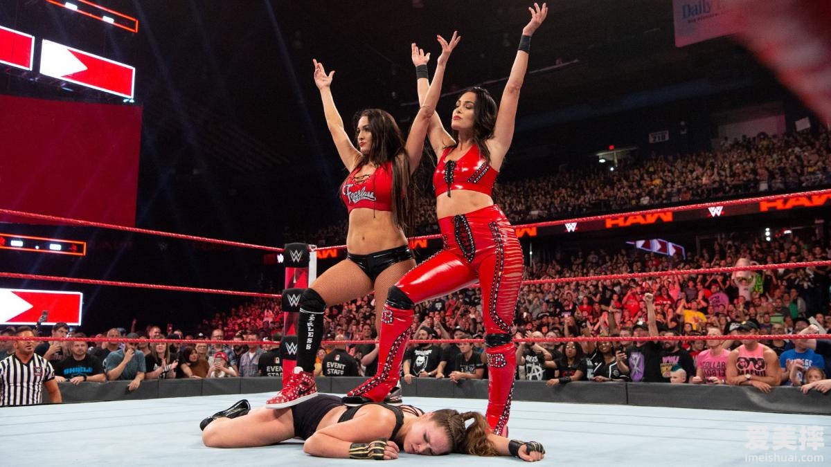 WWE名人堂 双胞胎姐妹 贝拉姐妹，尼基贝拉和布里贝拉 2020 02 23T173250.327