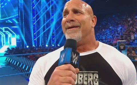 高柏回忆WWE摔跤狂热36，“真的是惨不忍睹，快让我忘了它吧”