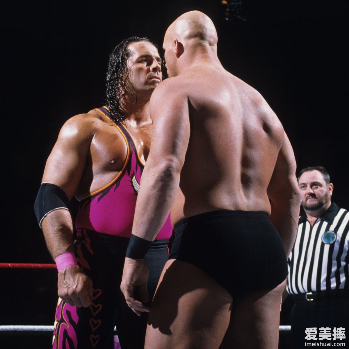 WWE史蒂夫奥斯汀和布莱特哈特的恩怨情仇 (11)