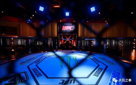 UFC 250落幕：“母狮”双冠霸业无人能敌！