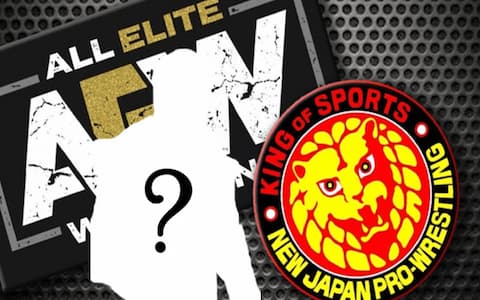 AEW和NJPW明星在伤病更新中似乎在考虑退役