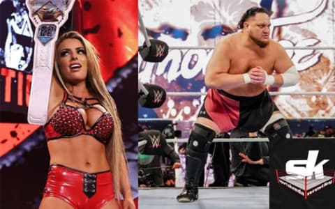 盘点五位在2022年被WWE解雇的超级巨星，以及他们现在在哪里？