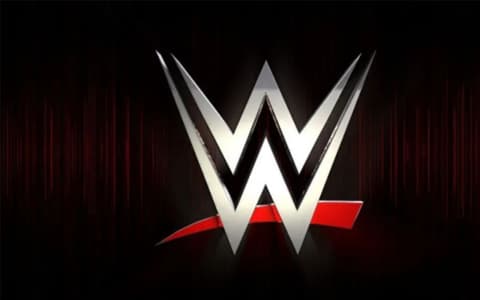 前WWE超级巨星将于下个月成为自由摔角手