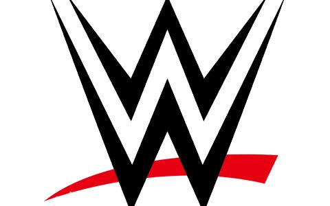 WWE摔角手的年薪是多少？WWE选手工资是多少？