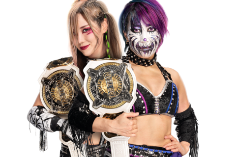 WWE女子双打冠军